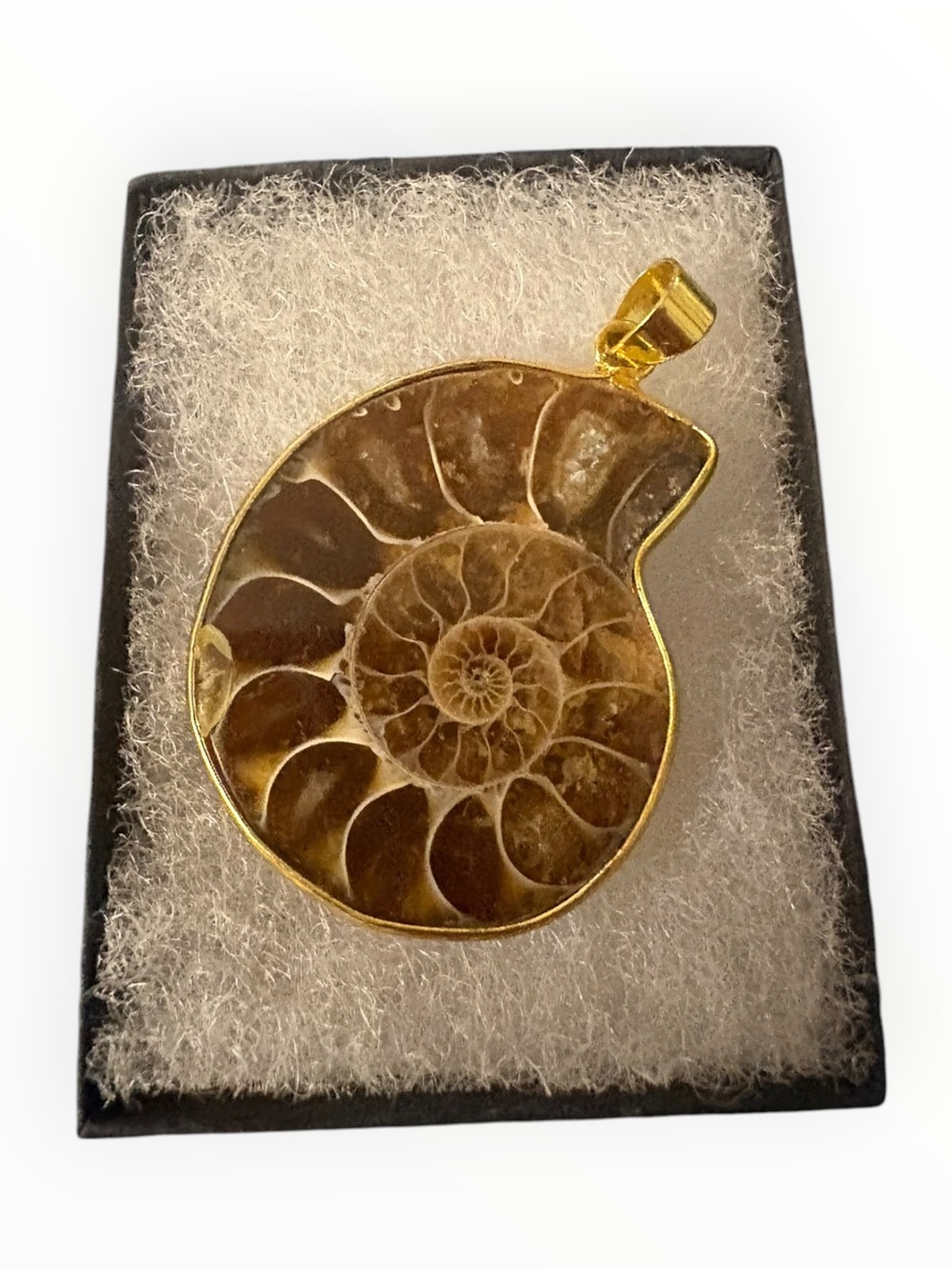 Genuine Ammonite Fossil Pendant Necklace Gold Tone